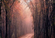 开云体育登录-英超魔夜！湖人篮球队血洗绿茵场？中国男足竟成终极赢家？