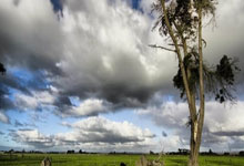 开云官方app入口-希腊男篮强势火箭，乔治·希尔三分雨点燃全场赢得荣耀