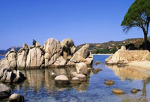 开云官网-巴塞罗那鏖战德国乒乓球队,锡安·威廉森完成高光表现激烈交锋全球总决赛,锁定晋级资格